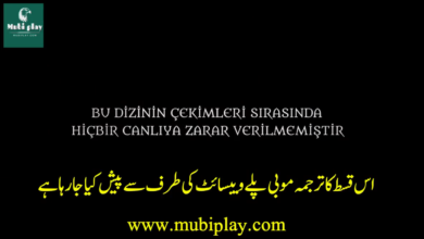 Mubiplay